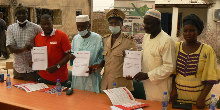 Tamba: Convention ActionAid-fédération Yakaar Niani Woulli/Des femmes appuyées en semences d’arachide et engrais organique