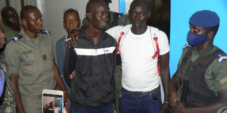 Tambacounda : Boy Djiné arrêté après une course-poursuite dans la brousse