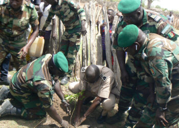 Tamba: Forums de sensibilisation/Reboisement-lutte contre les feux de brousse/2 millions de plants à produire