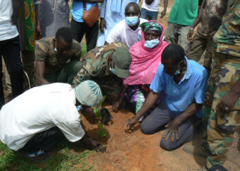 Tamba : Am Bé Koun Solidarité ouvre sa campagne de reboisement avec 500 plants