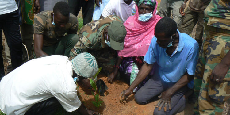 Tamba : Am Bé Koun Solidarité ouvre sa campagne de reboisement avec 500 plants