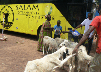 Tabaski 2021 à Tamba : « Salam Transport » distribue des moutons à des chefs de familles