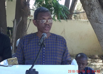 Reboisement Grande Muraille verte à Golmy : Le PCD de Bakel pour un plan de résilience et une brigade de surveillance