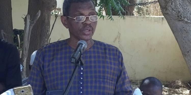 Reboisement Grande Muraille verte à Golmy : Le PCD de Bakel pour un plan de résilience et une brigade de surveillance