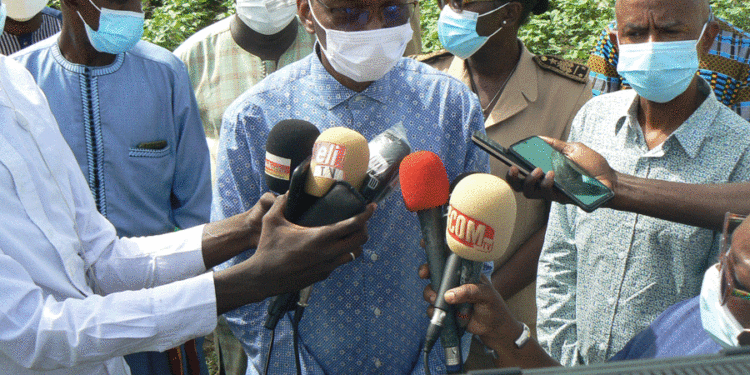 Campagne agricole 2021 à Tamba: Tournée du MAER/Bon comportement des cultures