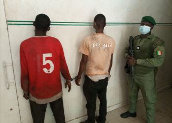 Tambacounda : Coupe illicite de bois/Saisie de Troncs, tronçonneuses, tricycles, etc. /2 individus appréhendés