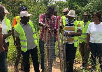Tamba/Néttéboulou: Le GIE « Agro Baydaaré » prévoit de planter 1. 000 pieds d’anacardiers dans la ferme de l’ANIDA