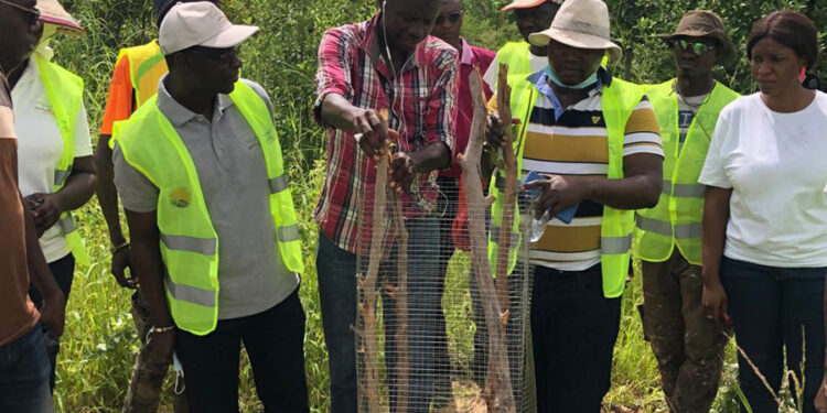 Tamba/Néttéboulou: Le GIE « Agro Baydaaré » prévoit de planter 1. 000 pieds d’anacardiers dans la ferme de l’ANIDA
