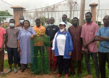 Reboisement 2021 à Tamba: L&rsquo;Association ADAP/Nature plante plus de 100 arbres au village d&rsquo;enfants SOS