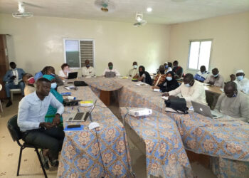 Tamba: Réunion annuelle de pré-programmation/L’ISRA vers de nouvelles variétés de coton