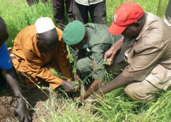 Reboisement 2021 à Tamba: Les artisans de la Chambre des Métiers pour la préservation de la matière première