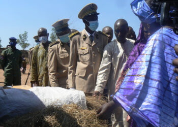 Journée nationale du Fonio à Goudiry : « Le Fonio et les systèmes alimentaires durables »/Les femmes du Boundou pour la mécanisation de la culture de cette céréale.