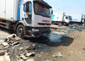 Tamba : [VIDEO] Saleté au marché central au poisson/La direction et les mareyeurs se rejettent la responsabilité/La honte/