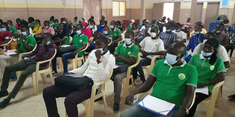 Tambacounda : 120 jeunes formés par les « MINES VERTES », à l’école de l’éducation financière