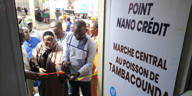 Tambacounda : 2 points NANO Crédit ouverts/70 millions déjà décaissés par la DER/FJ