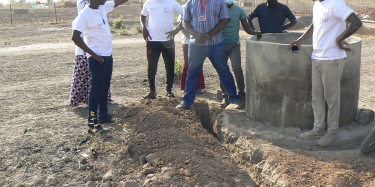 Tamba: «Seye Agrobusiness » et la GIZ, dans la création d’emplois pour des jeunes et des femmes/pour l’approvisionnement du marché en légumes