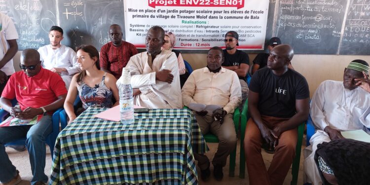 Tivaoune Wolof  (Bala): Mise en place d’un jardin potager scolaire/ Am Bé Koun Solidarité-Ong Life-ActionAid, pour relever le niveau d’apprentissage
