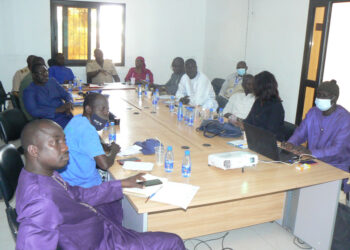 Tamba : Programmes d’appui local et à l’autonomisation des femmes/Manantali II met plus d’1 milliard de francs Cfa.