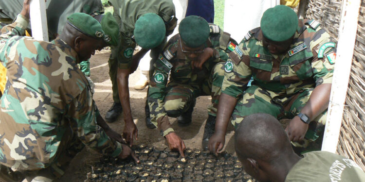 Tamba : Le Directeur des Eaux et Forêts en tournée/Pépinière régionale/ XËYU NDAW ÑI/Colonel Major Baïdy Bâ, satisfait