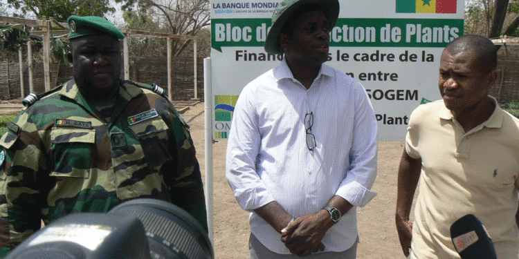 Tamba : Production de pépinière/Engagement dans la surveillance forestière/Commandant Gaye (IREF) félicité par la mission SOGEM-BM