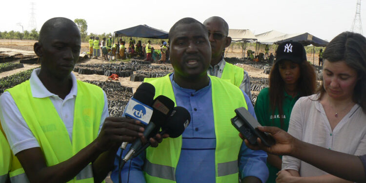 Tamba : Le projet OCC Tiers-Sud Beydaare-Agro-Beydaare-Sénégal/Emploi des jeunes-des femmes/lutte contre la déforestation, l’insécurité alimentaire/