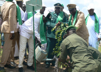 Tamba/Journée de l’arbre : l’IREF produit plus de 2 millions de plants pour la reforestation