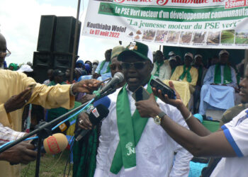 Tamba/Journée de l’arbre : l’IREF produit plus de 2 millions de plants pour la reforestation