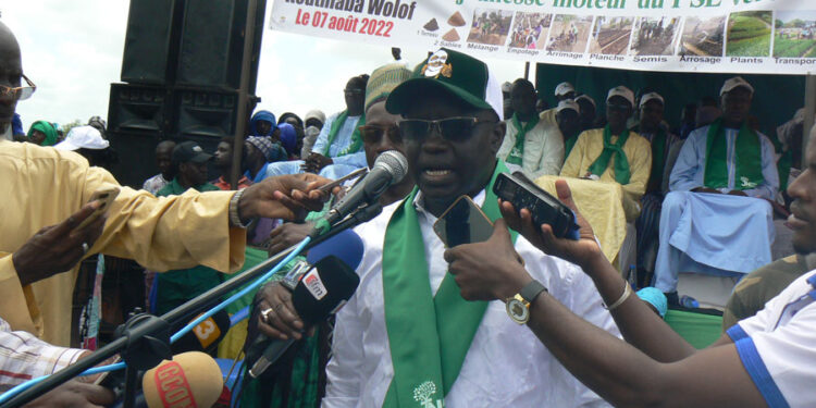 Tamba/Journée de l’arbre : l’IREF produit plus de 2 millions de plants pour la reforestation