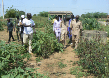 Bakél : Promotion de l’entreprenariat/Autonomisation des femmes/3 GIE renforcés à travers le partenariat GIZ/Am Bé Koun Solidarité