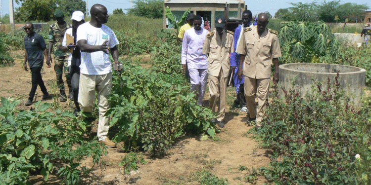 Bakél : Promotion de l’entreprenariat/Autonomisation des femmes/3 GIE renforcés à travers le partenariat GIZ/Am Bé Koun Solidarité