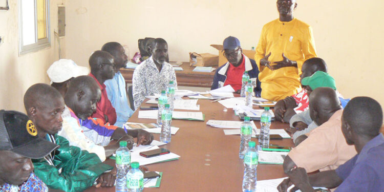 Tamba : Installation de pompes solaires pour l’amélioration des rendements en banane/CORPROBAT vers la mise à l’échelle