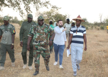 Tamba : Gestion durable des Ressources forestières/L’IREF reçoit une mission de l’Agence de la Grande muraille Verte