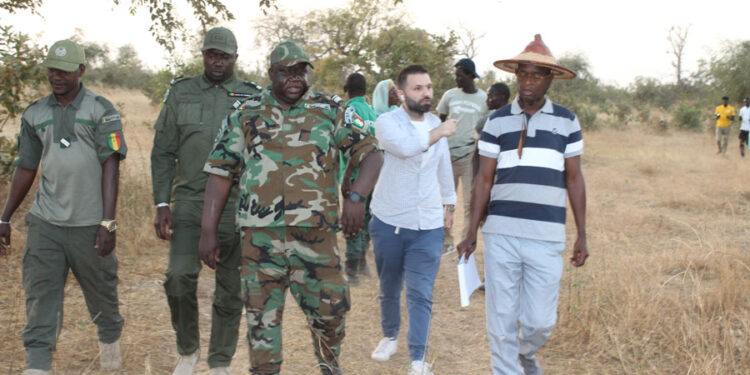 Tamba : Gestion durable des Ressources forestières/L’IREF reçoit une mission de l’Agence de la Grande muraille Verte