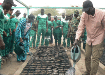 Tamba : SOGEM (Manantali II)-BM/Gestion Environnementale et Sociale/L’IREF félicitée par la mission