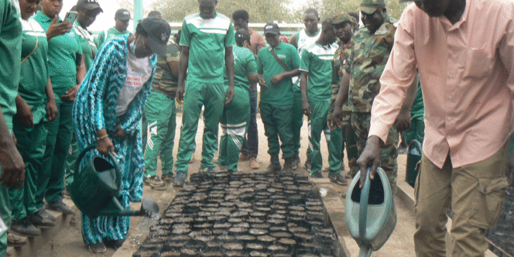 Tamba : SOGEM (Manantali II)-BM/Gestion Environnementale et Sociale/L’IREF félicitée par la mission