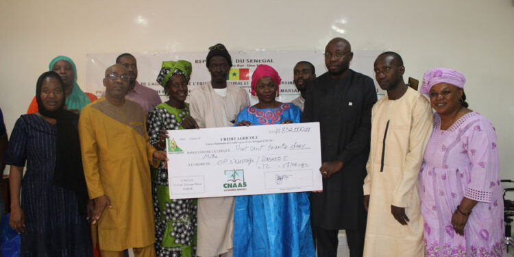 Tamba: [Vidéo] PADAER II-CNAAS/Indemnisation de 06 OP après la perte de leurs bêtes