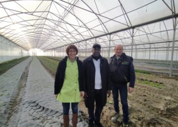 SIA/France : Le Maire Papa Banda Dièye a noué des contacts utiles/A Visité une coopérative et un périmètre maraicher à la Roche-Sur Yon