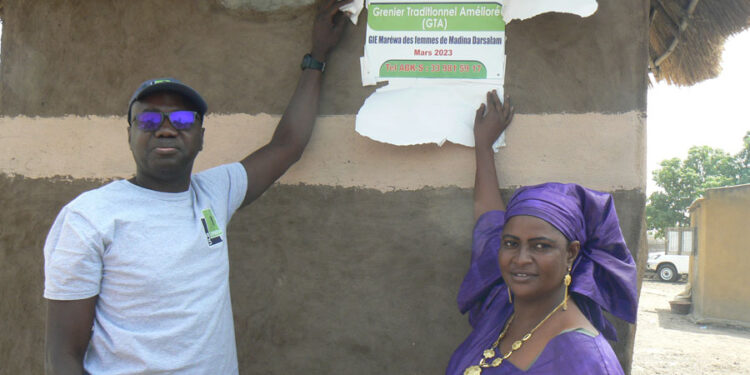 Tamba : Madina Darsalam (Dialacoto) étrenne son 1er grenier traditionnel amélioré (GTA)/ Am Bé Koun Solidarité et ULB Coopération en synergie pour une bonne conservation des semences