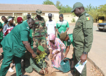 Tamba: Journée des Forêts/ «Forêts et Santé»/L’IREF en sensibilisation et reboisement au Centre de Santé
