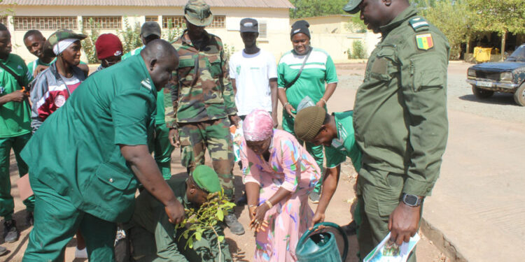 Tamba: Journée des Forêts/ «Forêts et Santé»/L’IREF en sensibilisation et reboisement au Centre de Santé