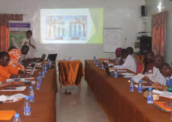 Tamba : Le projet AVENIR de MEDA met en place son sous-comité consultatif genre et jeunesse