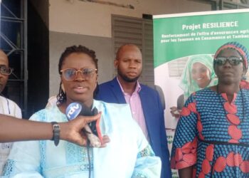 Tamba/Projet résilience: Mise en place d’un cadre de concertation sur les itinéraires techniques, les intrants et le matériel agricole/Les acteurs en conclave