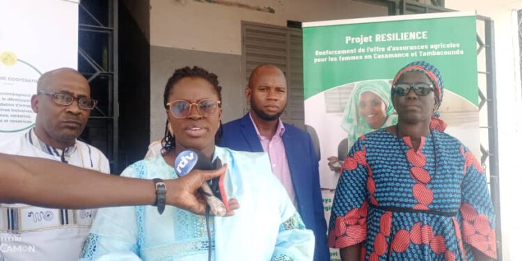 Tamba/Projet résilience: Mise en place d’un cadre de concertation sur les itinéraires techniques, les intrants et le matériel agricole/Les acteurs en conclave