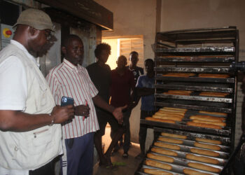 Tamba/Goudiry : Pain au fonio/EXPERNA lance l’expérience