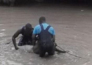 Kédougou : Un pêcheur se noie en voulant vérifier ses filets