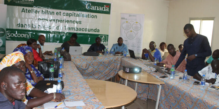 Tamba: Atelier bilan et capitalisation des expériences/SOCODEVI en conclave avec les coopératives