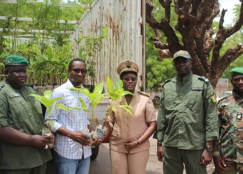 Tamba: L’ONG «Univers Sénégal» remet 1.200 plants au service régional des eaux et forêts