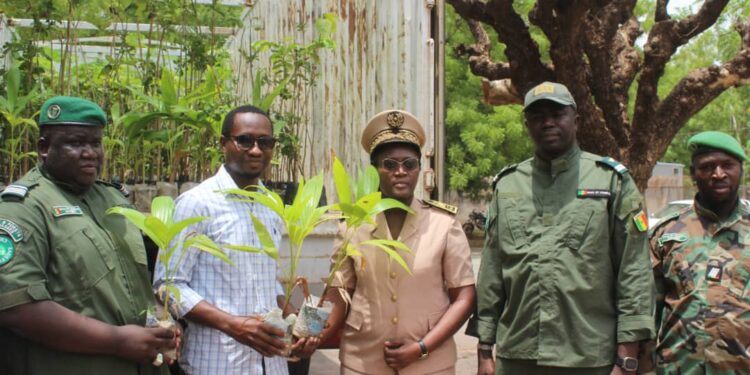 Tamba: L’ONG «Univers Sénégal» remet 1.200 plants au service régional des eaux et forêts