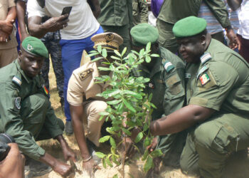 Tamba/Journée Nationale de l’Arbre : La région a un objectif de production de 2 millions de plants/L’IREF, commandant Mamadou Gaye rassure