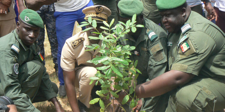 Tamba/Journée Nationale de l’Arbre : La région a un objectif de production de 2 millions de plants/L’IREF, commandant Mamadou Gaye rassure